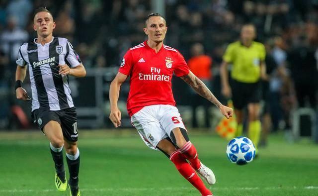 力和稳定的 力和稳定的